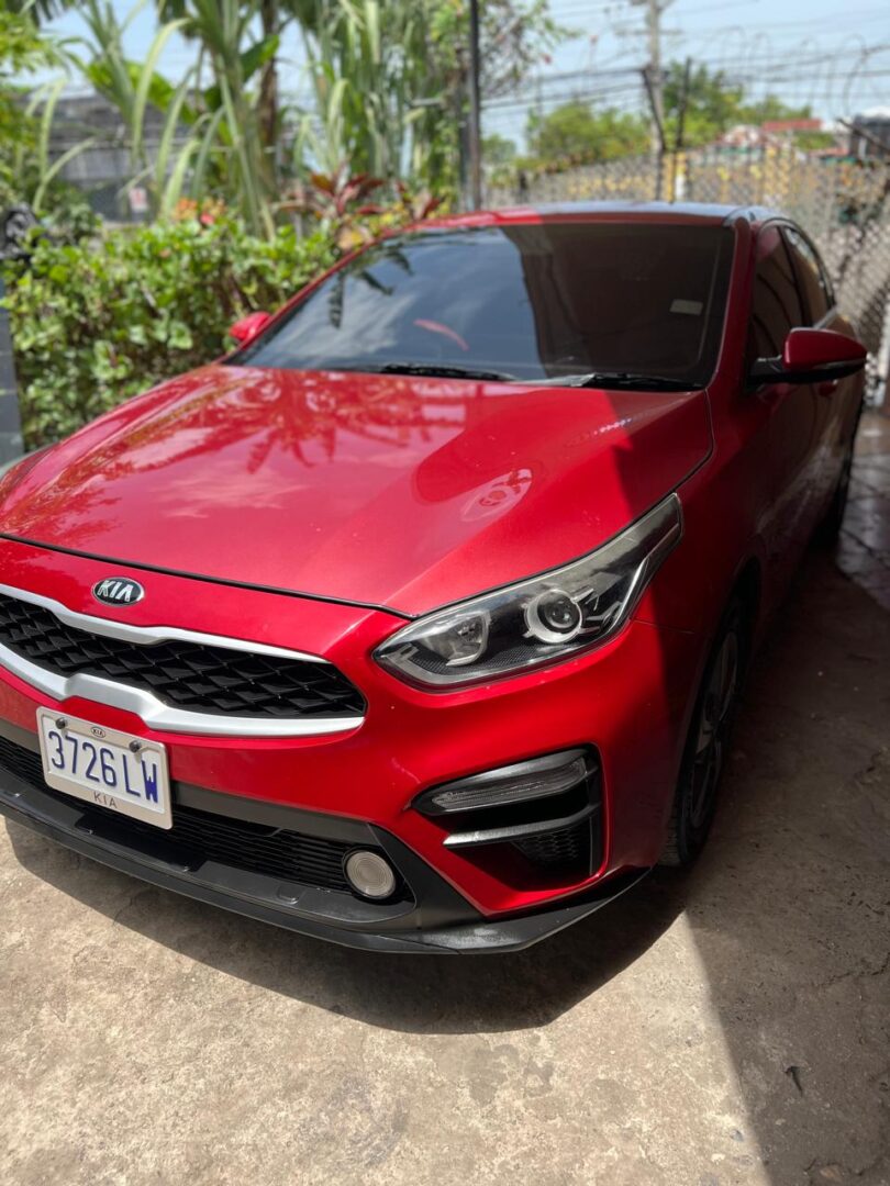 Freshly tinted vehicle